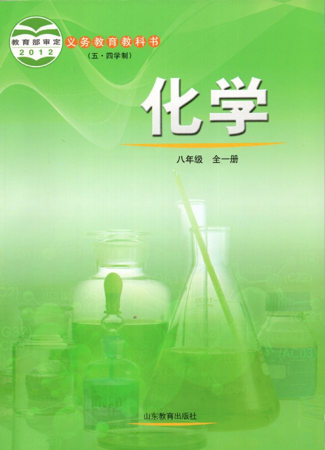 鲁教五四新版八年级全册化学