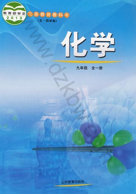 鲁教五四新版九年级全一册化学